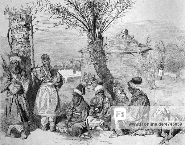 A Tuaregs camp in an oasis of the Sahara  Algeria  historical illustration  1877