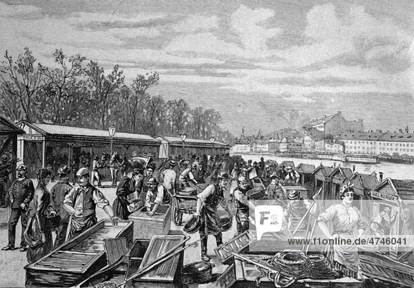 Fish market on the Donaukanal  Danube canal in Vienna  Austria  historical picture  about 1893