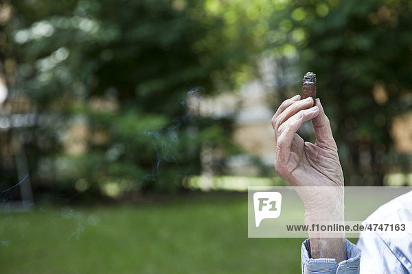 Hand eines alten Herren mit qualmender Zigarre  Zigarrenstummel