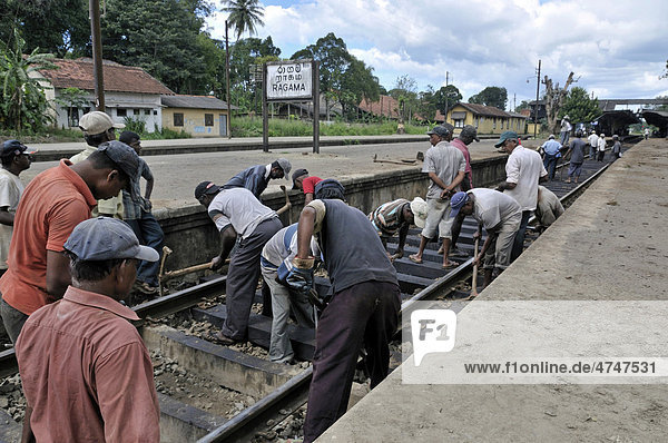 Wartungsarbeiten an Eisenbahnschienen  Bahnhof in Ragama  Sri Lanka  Ceylon  Asien