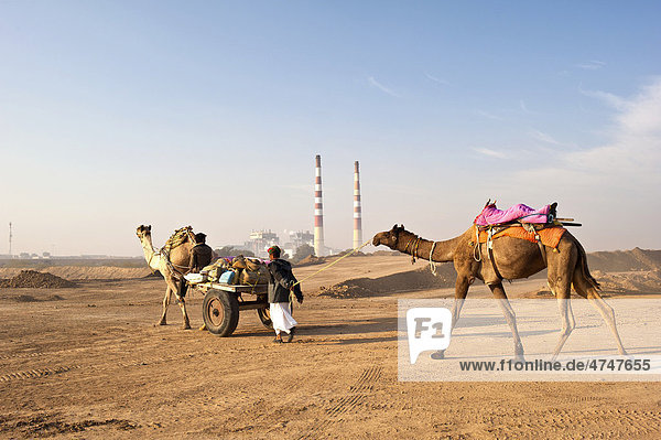 Zwei Inder ziehen mit ihren Kamelen und einem Kamelkarren an einer Industrieanlage mit zwei riesigen Schornsteinen vorbei  Wüste Thar  Rajasthan  Indien  Asien