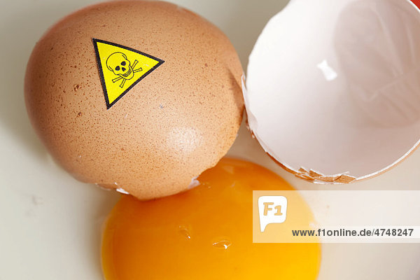 Hühnerei mit Totenkopf-Warnzeichen  Symbolbild Dioxin-Eier  gesundheitsschädliche Lebensmittelzusätze