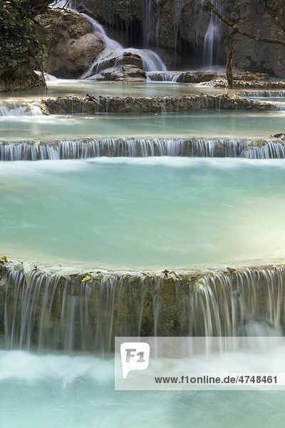 Teiche mit System von Wasserfällen  Tat Kuang Si Wasserfall  in der Nähe von Luang Prabang  Laos  Südostasien