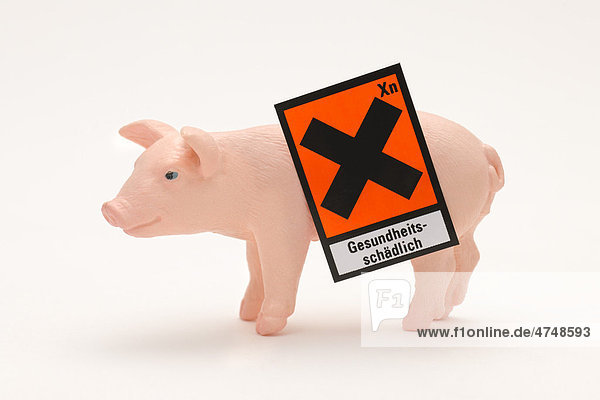 Miniaturschwein  Gefahrensymbol Gesundheitsschädlich  Symbolbild für belastetes Schweinefleisch