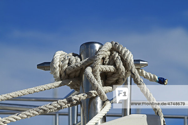 Bowline  seaman's knots
