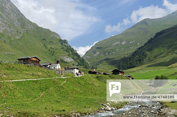 Fanealm  Fane Alm  with Valser Bach stream  Vals Valley  Puster Valley  Pfunderer Mountains  Alto Adige  Italy  Europe