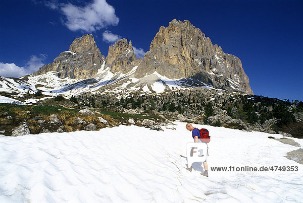 Langkofel Mountain seen from the City of Stones  Sella Pass  Dolomites  Alto Adige  Italy  Europe