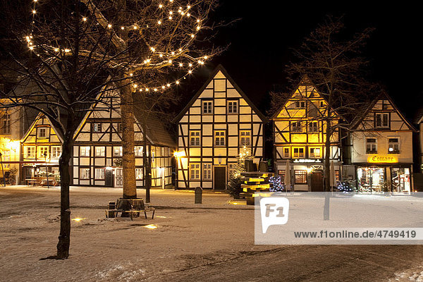 Fachwerkhäuser der Altstadt mit Weihnachtsbaum und Schnee  Soest  Sauerland  Nordrhein-Westfalen  Deutschland  Europa