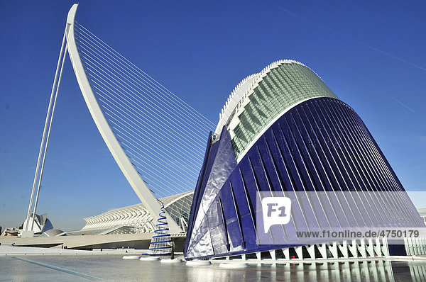 Moderne Brücke des spanischen Architekten Santiago Calatrava in der Ciudad de las Artes y las Ciencias  Stadt der Künste und der Wissenschaften  Valencia  Comunidad Valenciana  Spanien  Europa