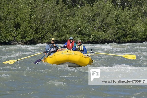 Fraktion der Sparren abschwimmend Stromschnellen auf dem Tatshenshini River  Yukon Territory  Kanada  Sommer
