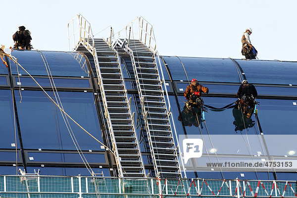 Roped up roofers mounting large glass elemtens onto a dome roof  Berlin  Germany  Europe