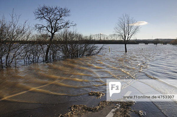 Überflutete Landstraße  Hochwasser an der Saale nahe Naumburg  Sachsen-Anhalt  Deutschland  Europa