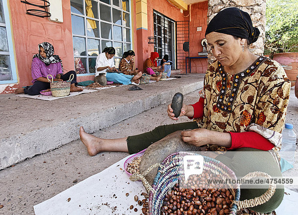 In der Frauen-Kooperative Ajdique in Tidzi bei Essaouira zerstoßen Frauen mit einem Stein die Schale der Argannüsse (Argania spinosa)  Marokko  Afrika