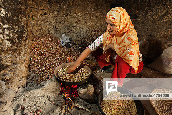 Für die traditionelle Herstellung von Arganöl röstet eine Frau in ihrer Hütte bei Essaouira Argan-Mandeln über dem Feuer  Marokko  Afrika