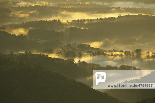 Nebelschwaden in hügeliger Landschaft mit Schloss im ersten Morgenlicht  Steiermark  Österreich  Europa
