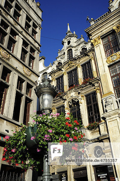 Zunfthäuser  Häuser im Stil des Barock auf dem Grand Place  Grote Markt Platz  Innenstadt  Brüssel  Belgien  Benelux  Europa