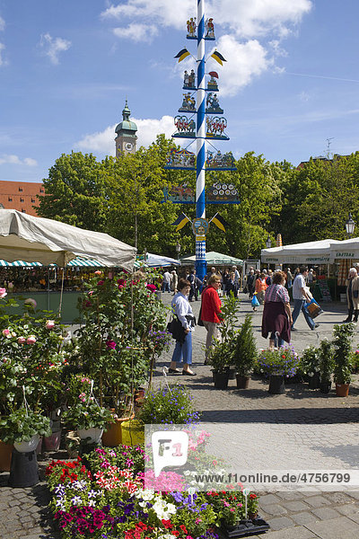 Flower stall on the Viktualienmarkt market  Altstadt-Lehel district  Munich  Bavaria  Germany  Europe