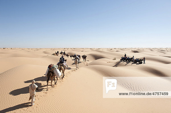 Sanfter nachhaltiger Tourismus  Karawane  Kameltrekking trifft auf Gruppe mit Quads  Kamele  Dromedare (Camelus dromedarius)  Sanddünen  Wüste Sahara zwischen Douz und Ksar Ghilane  Südtunesien  Tunesien  Maghreb  Nordafrika  Afrika