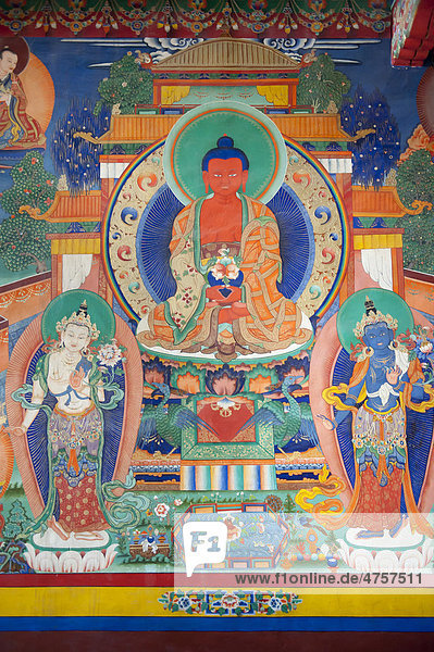 Tibetischer Buddhismus  alte Wandmalerei in der Versammlungshalle  Darstellung des Buddha  Kloster Chemre Gompa bei Leh  Distrikt Ladakh  Bundesstaat Jammu und Kaschmir  Indien  Südasien  Asien