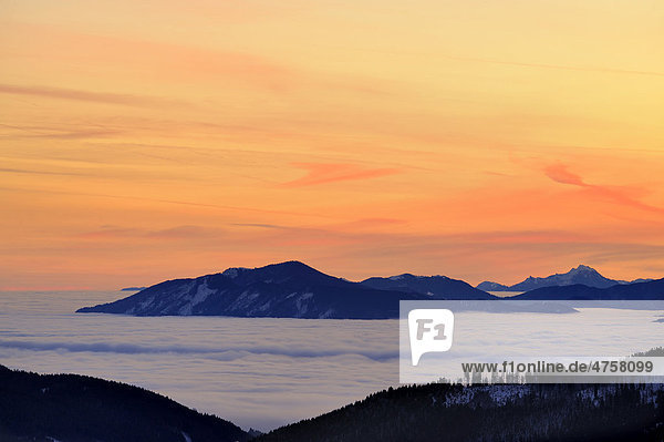 Sonnenaufgang über Berggipfeln mit Nebelmeer  Sonthofen  Allgäu  Bayern  Deutschland  Europa