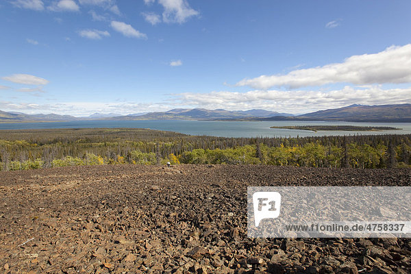 View panorama over Dezadeash Lake from Rock Glacier Indian summer leaves in fall colours autumn Kluane National Park and Reserve Yukon Territory Canada