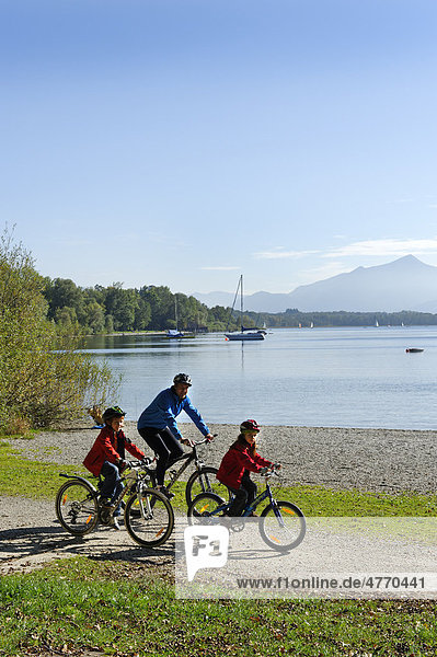 Cyclists  cycling tour at lake Chiemsee  near Gstadt  Chiemgau  Upper Bavaria  Germany  Europe