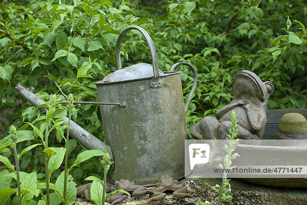 Alte Gießkanne aus Metall und Froschfigur im Garten  Norfolk  England  Großbritannien  Europa