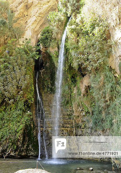 Davids Wasserfall, Wadi David, Naturschutzgebiet En Gedi, Judäa, Totes