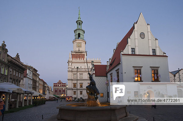 Rathaus und Neptunbrunnen  Rynek  Marktplatz  Posen  Poznan  Großpolen  Polen  Europa