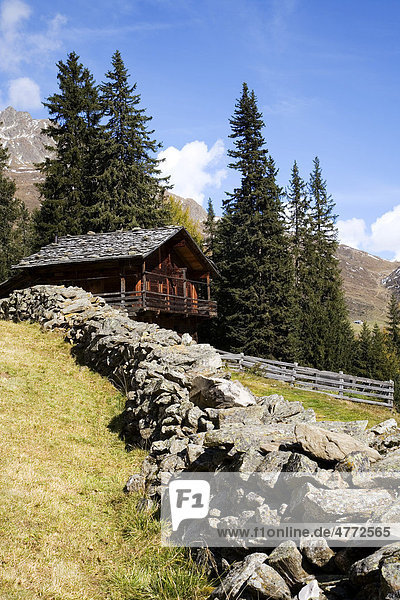 Old wooden hut with a stone wall  autumn trees in the Gsies valley  St. Magdalena  Province of Bolzano-Bozen  Italy  Europe