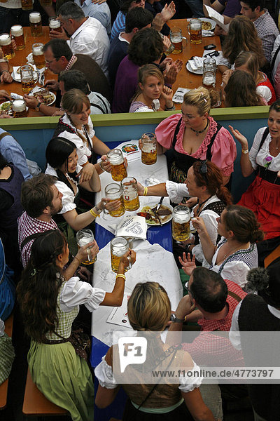 Gruppe von Männern und Frauen in bayerischer Tracht stößt mit Maßkrügen an  in einem Bierzelt auf dem Oktoberfest  München  Bayern  Deutschland  Europa