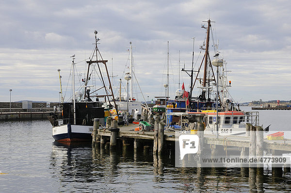 Fischkutter im Hafen von Sassnitz  Rügen  Mecklenburg-Vorpommern  Deutschland  Europa