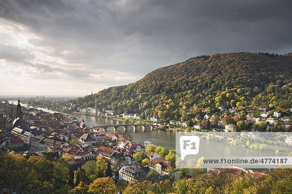 Blick auf die Altstadt von Heidelberg vom Schlosspark  Baden-Württemberg  Deutschland  Europa