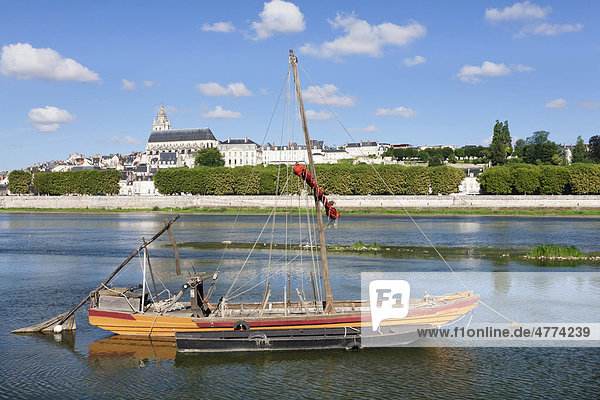 Stadtansicht von Blois mit Kathedrale  Departement Loir et Cher  Frankreich  Europa