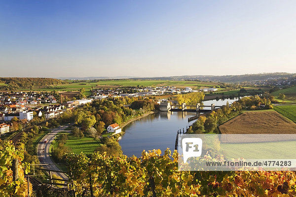 Blick von den Weinbergen über Gundelsheim auf den Neckar  Baden-Württemberg  Deutschland  Europa