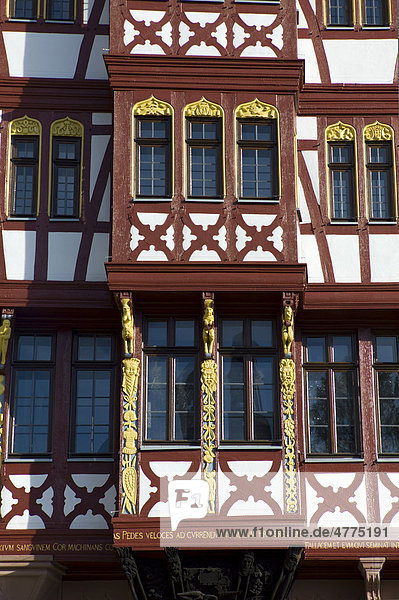 Haus Großer Engel  historisches Fachwerkhaus  Ostzeile  Römerberg  Frankfurt  Hessen  Deutschland  Europa