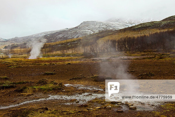 Dampfende warme Quellen im Winter mit Berg  Strokkur  Island  Europa