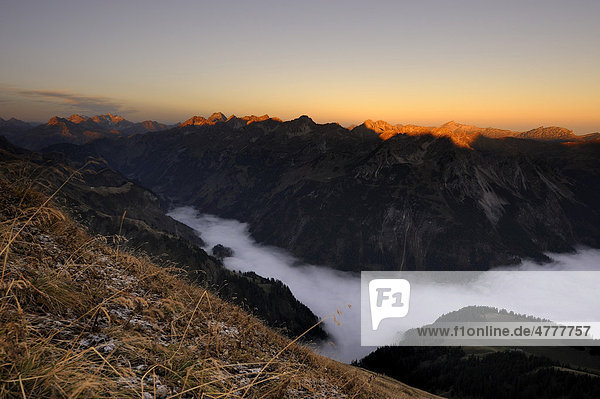 Gebirgstal unter Nebel mit Berggipfeln im Morgenlicht  Allgäuer Alpen  Kleinwalsertal  Vorarlberg  Österreich  Europa