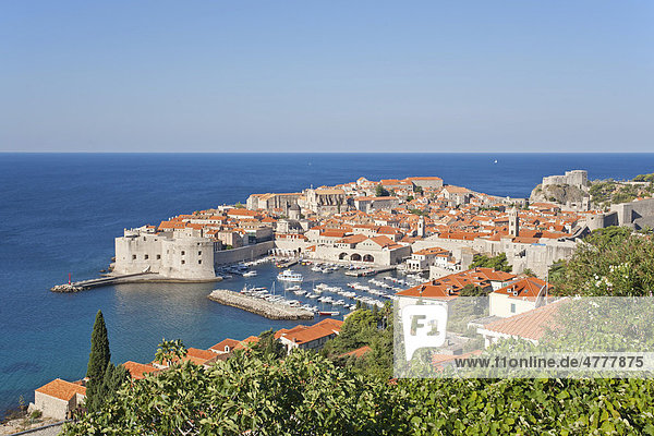 Blick auf die Altstadt von Dubrovnik vom Berg Srd  Süddalmatien  Dalmatien  Adriaküste  Kroatien  Europa
