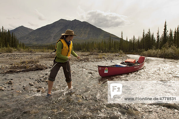 Junge Frau beim Treideln  watet durch flaches Wasser und zieht ein Kanu hinter sich her  Wind River  Mackenzie Mountains  Yukon Territory  Kanada