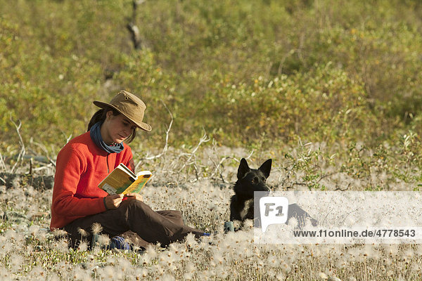 Junge Frau sitzt entspannt im Gras  Wollgras  und liest ein Buch  ihr Hund  ein Alaskan Husky  sitzt daneben  Wind River  Yukon Territory  Kanada