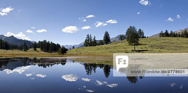 Hochmoorebene mit dem schwarzen See Lai Nair bei Tarasp und Vulpera  Scuol  Unterengadin  Graubünden  Schweiz  Europa
