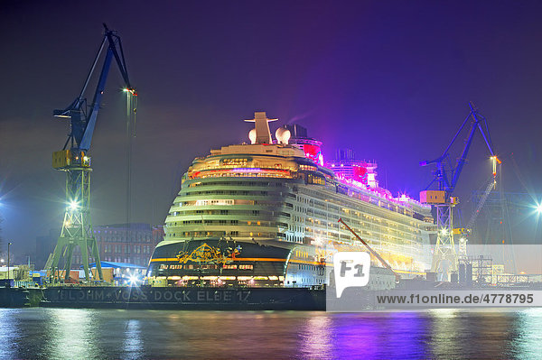 Schiff  Kreuzfahrtschiff Disney Dream im Dock Elbe 17 der Blohm + Voss Werft auf der Elbe im Hamburger Hafen bei Nacht  Hamburg  Deutschland  Europa