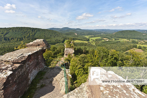 Ruine Drachenfels  Dahner Felsenland  Pfälzer Wald  Pfalz  Rheinland-Pfalz  Deutschland  Europa