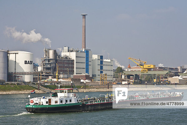 BASF am Rheinufer  Schiff  Ludwigshafen am Rhein  Rheinland-Pfalz  Deutschland  Europa