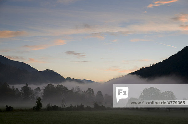 Alpenlandschaft  Morgennebel  Niederösterreich  Österreich  Europa