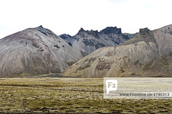 Landschaft in der Nähe vom Skaftafell Nationalpark  Südwestküste  Island  Skandinavien  Europa