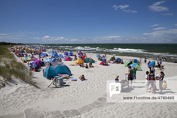 Beach  Baltic Sea spa of Zingst  Fischland Darss Zingst peninsula  Mecklenburg-Western Pomerania  Germany  Europe