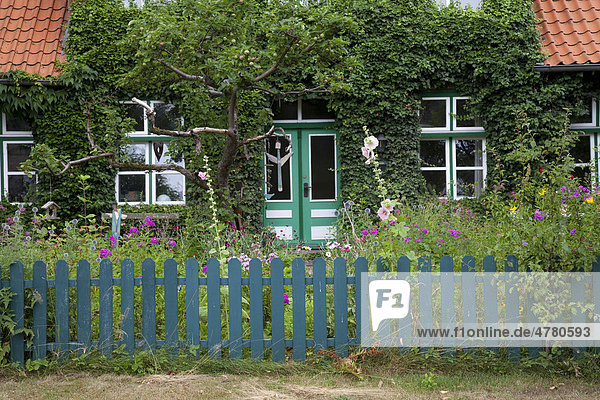 Naturbelassener Garten, Plön, Holsteinische Schweiz, SchleswigHolstein
