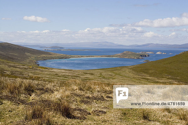 Port Pattison Bay auf Carcass Island  Falkland Inseln  Südatlantik